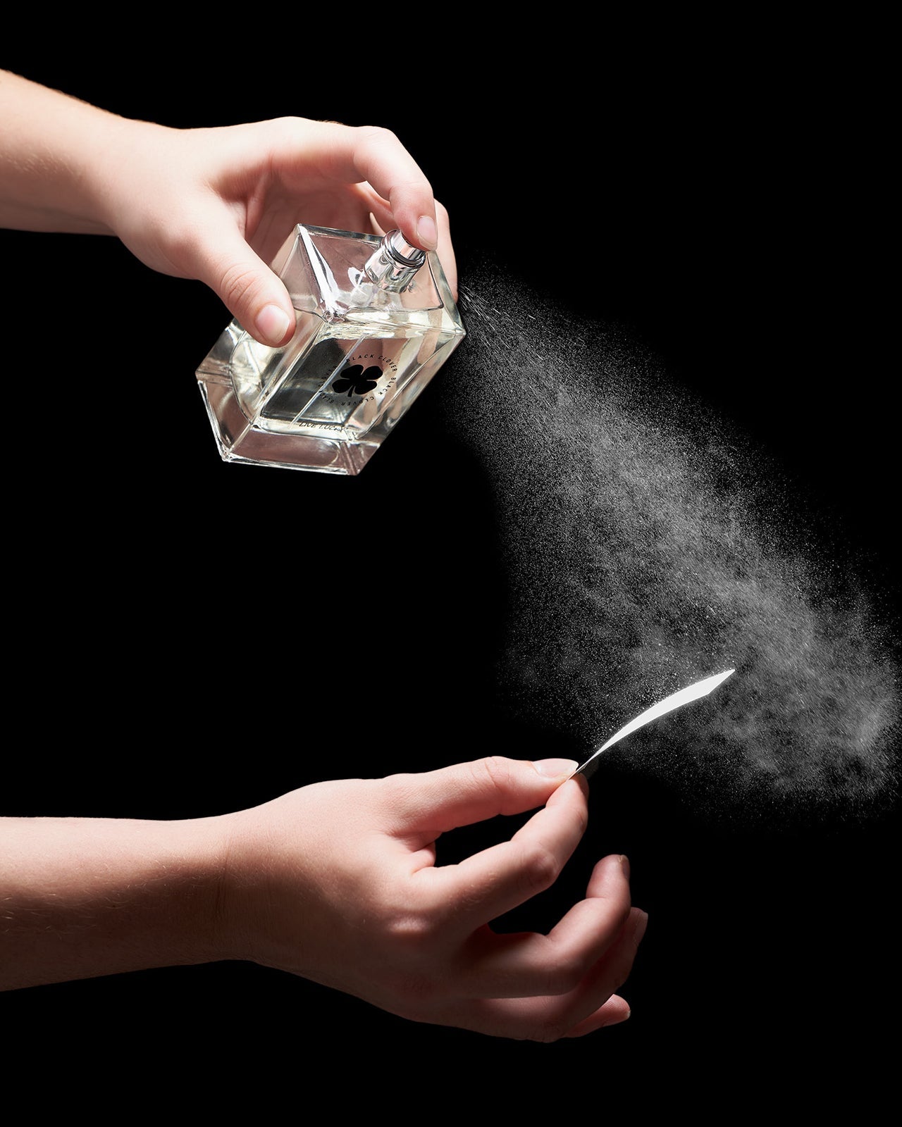 BLACK CLOVER BY Black Clover