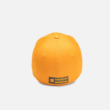 DNA MANGO