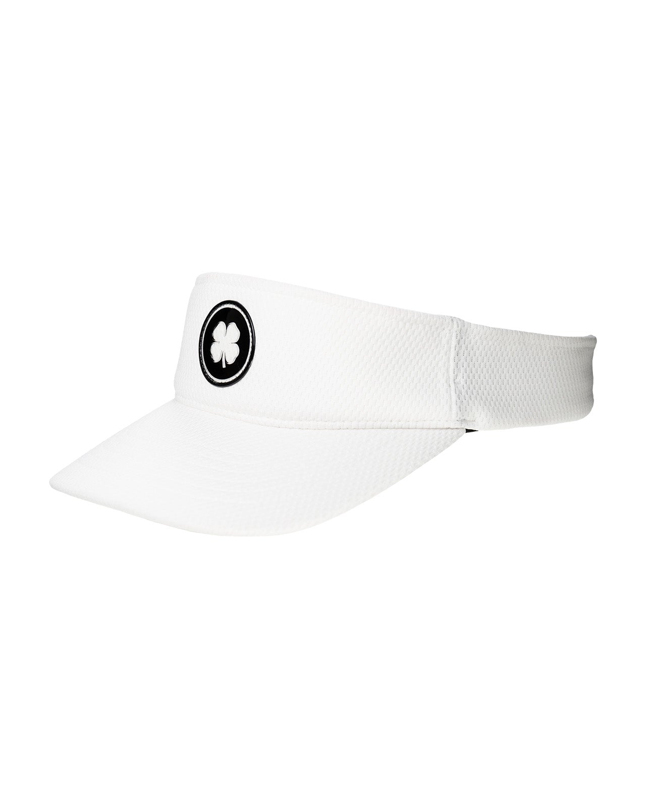 CLEAR VISOR 1