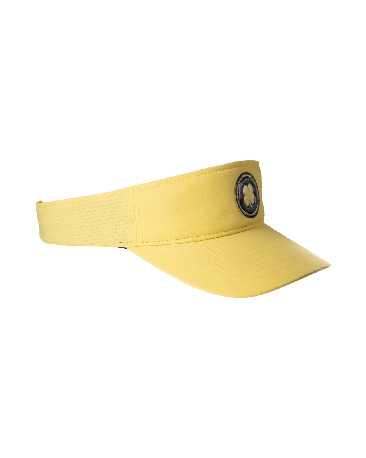 LAKEVIEW VISOR 3